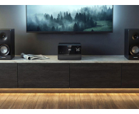 Blaupunkt MS49DAB - 1363310 - zdjęcie 4